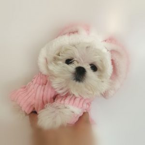Марина